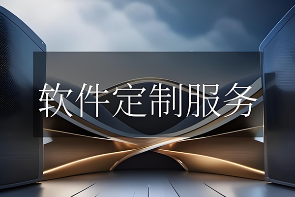 软件服务定制